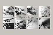 Sunplay light & shadow overlay loops, a Presentation Template by JHålands' Digital Goods (Thumbnail 5 of 8)
