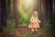 Wooded Roads - Digital Backdrops, a Texture Graphic by DareToDream (Thumbnail 3 of 3)