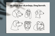 30 Dogs line drawings. Dog breeds, an Outline Icon by velychko.ua (Thumbnail 9 of 9)