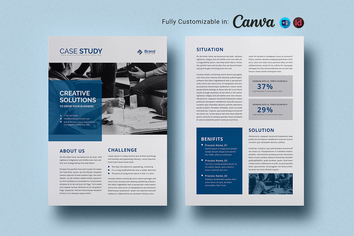 Case Study Canva Flyer Template