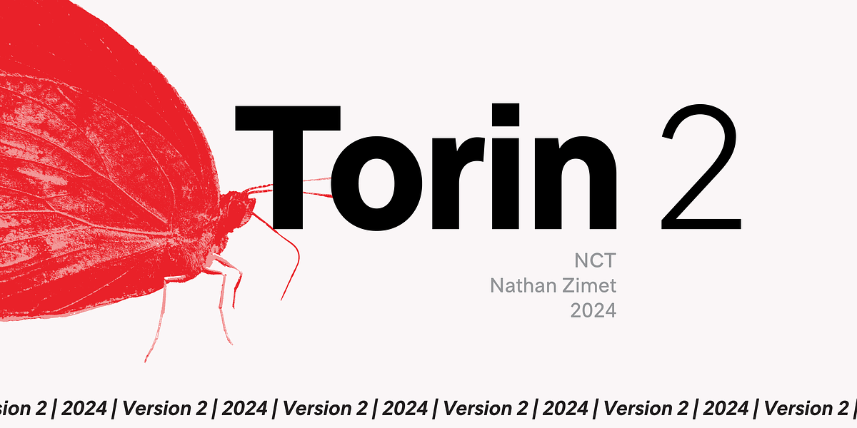 NCT Torin 2, a Sans Serif Font by NCT (Photo 1 of 9)
