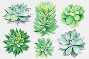 Watercolor Green plants, a Decorative Illustration by Hanna Hryharenka (Thumbnail 3 of 11)