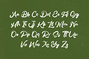 Bumble Ritual Bold Handwritten Font, a Script Font by Letterena Studios Script (Thumbnail 13 of 20)