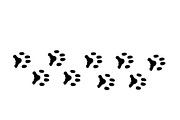 Cat svg, Funny Cats Vector Cut Files, an Animal Illustration by Watercolor_Vector Graphic (Thumbnail 22 of 25)