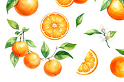 Orange Fruits In Watercolor Style, an Object Graphic by Black White Mouse Design (Thumbnail 3 of 3)