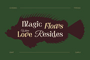 CS Redina – Fantasy Font, a Serif Font by Craft Supply Co. (Thumbnail 3 of 8)