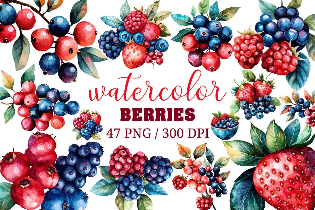 Watercolor Berries Clipart, an Illustration by Craft Nest (Photo 1 of 12)