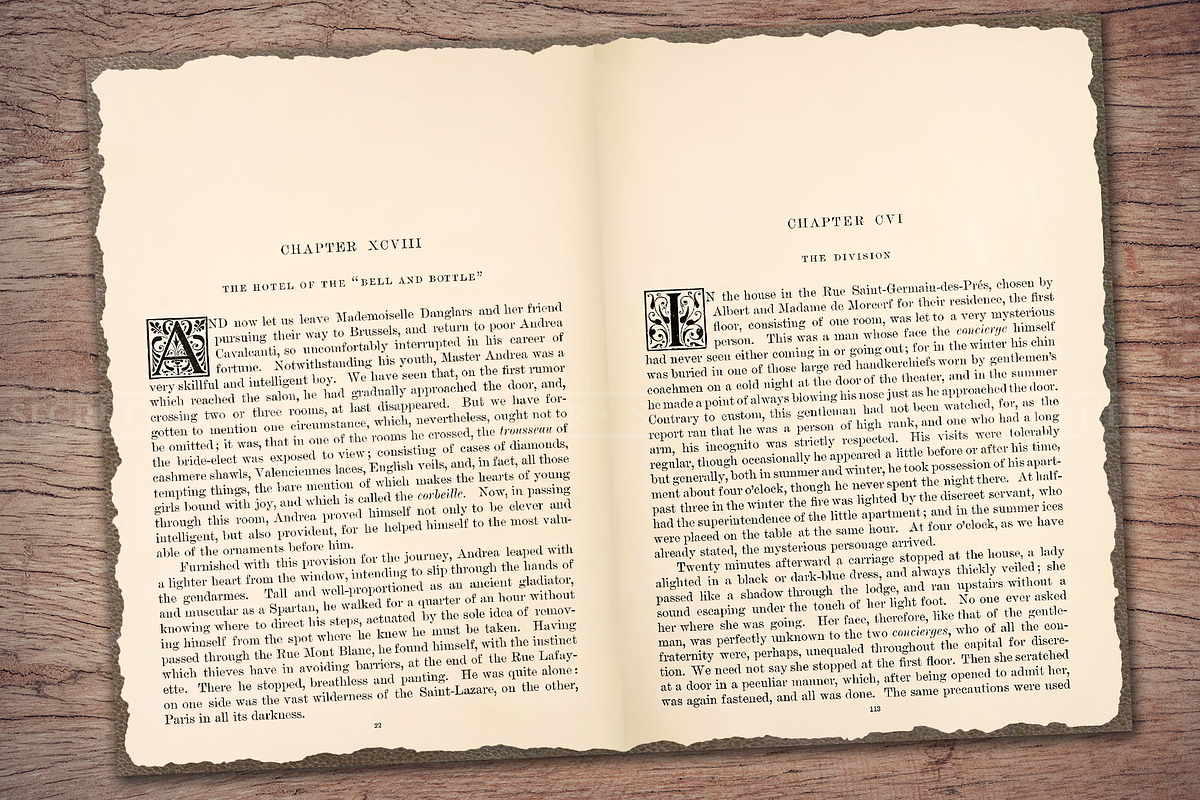 Old Book Paper (Double Page Spreads), a Texture Illustration by Secret Helper (Photo 5 of 7)