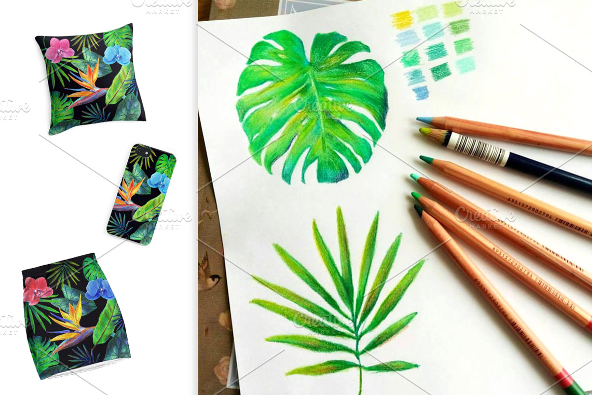 Tropical plants., an Illustration by yulia.sukhanova (Photo 2 of 3)