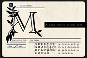 Leaves Display Cap Font, a Font by CC CREATIVE CO (Thumbnail 1 of 4)