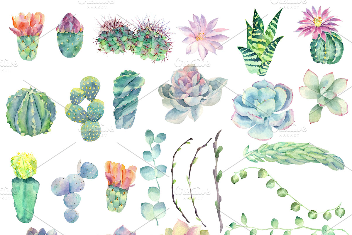 Watercolor cacti and succulents, an Illustration by Watercolor arts (Photo 2 of 6)