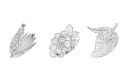 15 Fruits &Vegetables coloring pages, a Decorative Illustration by Somjai King (Thumbnail 3 of 6)