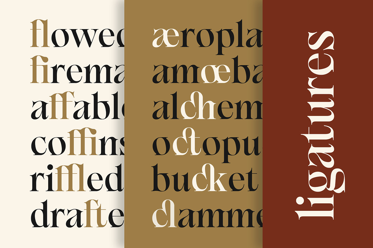 Game & Reality - Fantasy Serif, a Font by Typia Nesia (Photo 3 of 16)