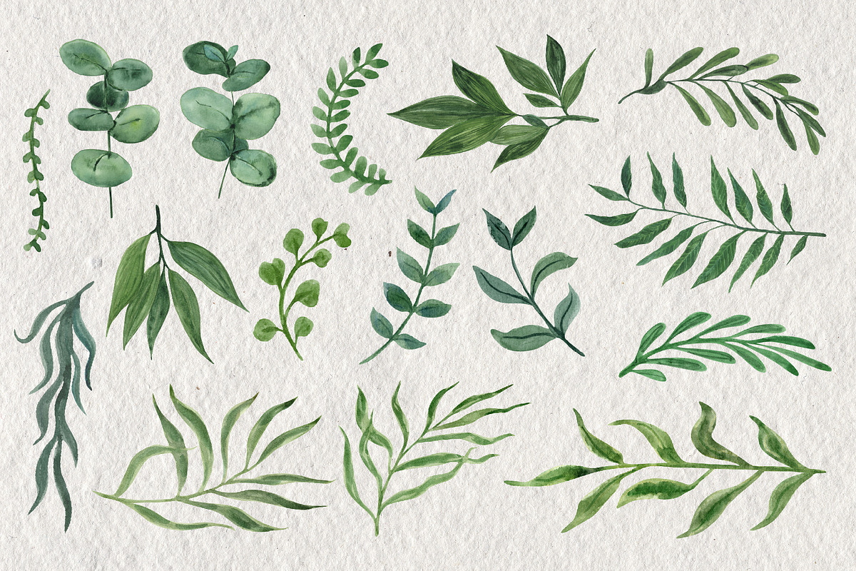 Leaves and Branches, an Object Graphic by Tiger and Flower (Photo 2 of 7)
