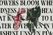 Basurist - Unique Modern Serif Bold, a Serif Font by Nokturnal13 (Thumbnail 13 of 14)