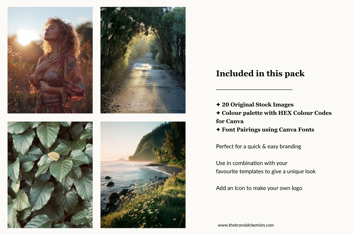 Earthy Canva Brand Kit & Stock Images preview 6