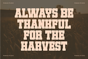Harvest Varsity - Slab Serif Font, a Slab Serif Font by Pian45 Studio (Thumbnail 3 of 8)