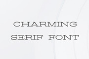 Barric A Serif Font Family, a Serif Font by Symufa (Thumbnail 5 of 7)