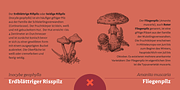 Harri Text, a Sans Serif Font by Blancoletters (Thumbnail 8 of 14)