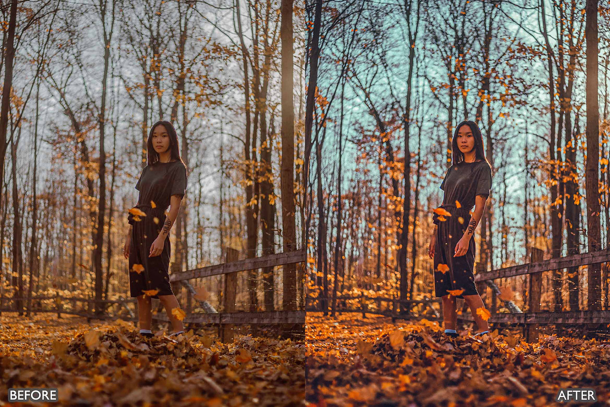 FALL PRESETS for Autumn Photos, a Preset Add-On by AAA Presets (Photo 16 of 22)
