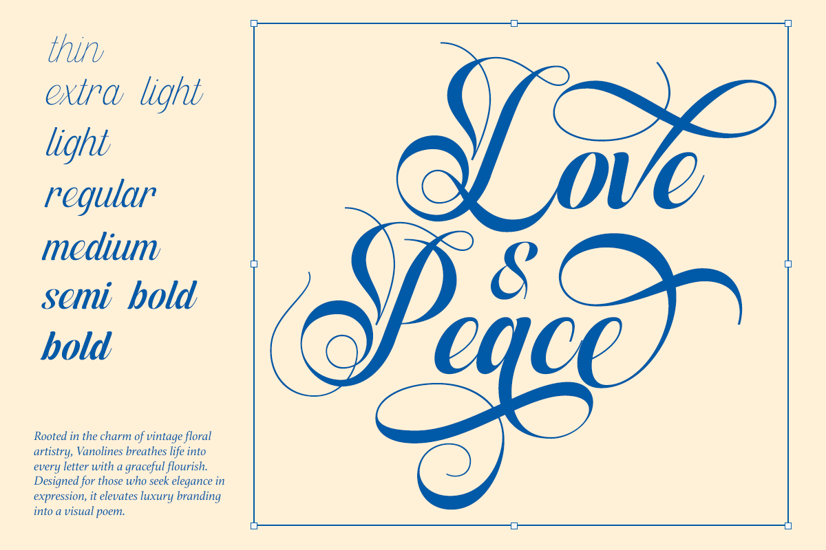 Dh Vanolines - 7 Wedding Family Font, a Script Font by Dharmas Foundry (Photo 4 of 16)
