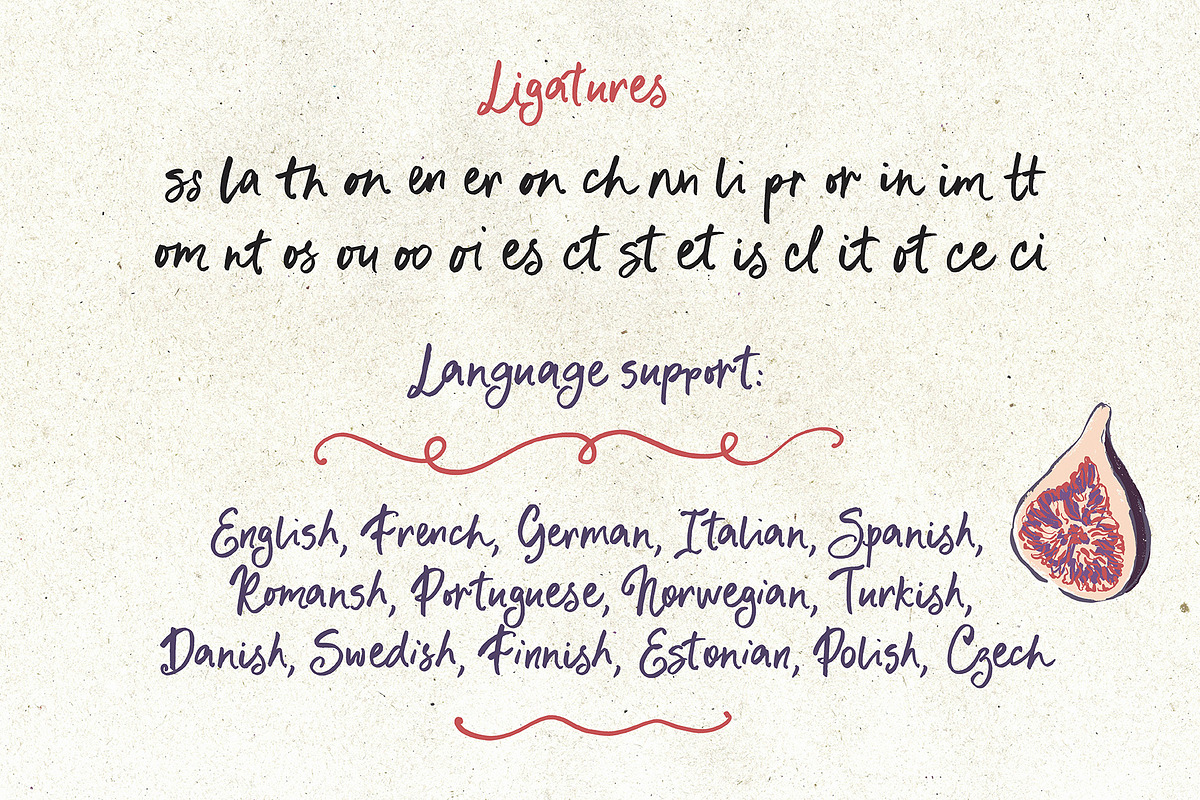 Whimsical font script Fichi Capri, a Script Font by TD fonts (Photo 9 of 11)