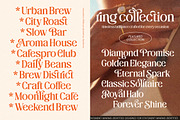 The Daily Midtones Decorative Serif, a Serif Font by AmorfaType (Thumbnail 5 of 8)