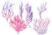 Coastal finds, a Seasonal Illustration by Watercolor life (Thumbnail 3 of 8)