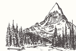 Mountain Peak With Fir Forest