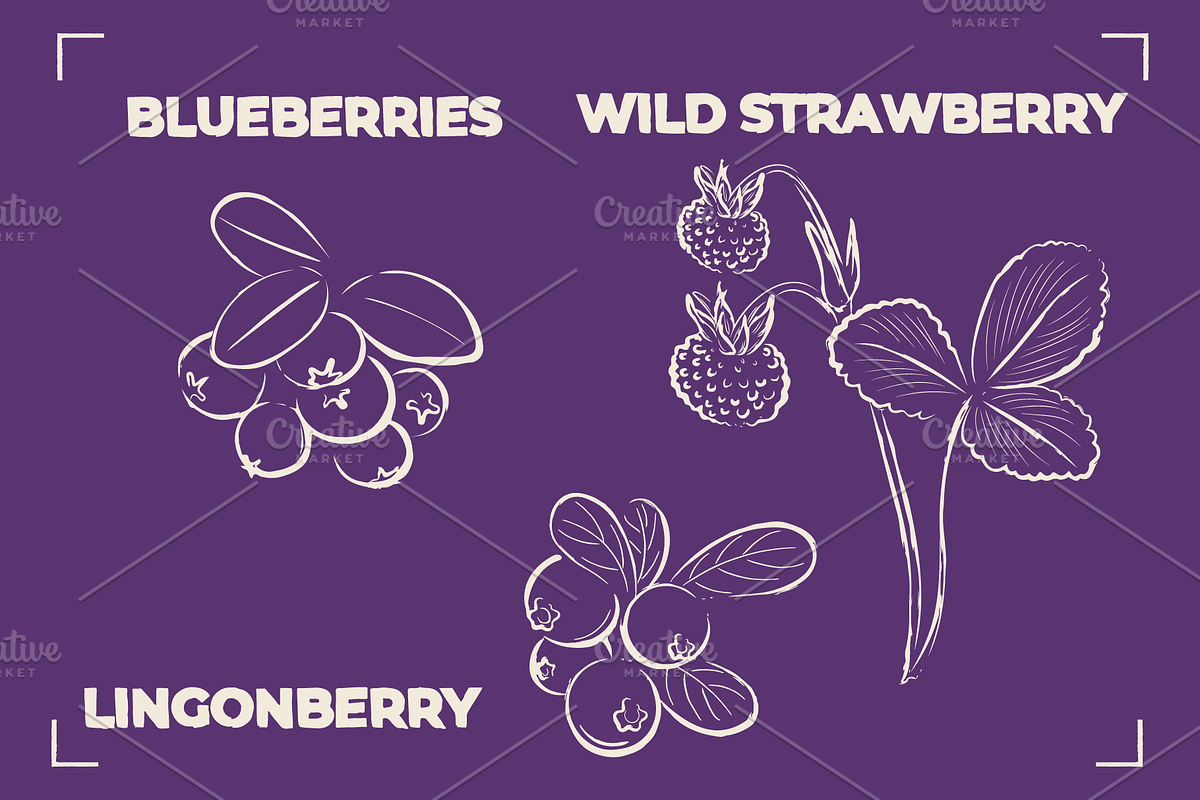 BERRY LINE ART SET (20 elements), a Food Illustration by Bonfloret Studio (Photo 3 of 9)
