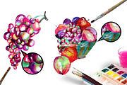 Watercolor grape set + Bonus 4 BG., a Decorative Illustration by redstudio (Thumbnail 6 of 11)