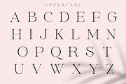 Megans | Elegant Stylish Serif, a Serif Font by Sealoung (Thumbnail 11 of 16)