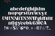 Banner, a Serif Font by Gatype (Thumbnail 10 of 11)