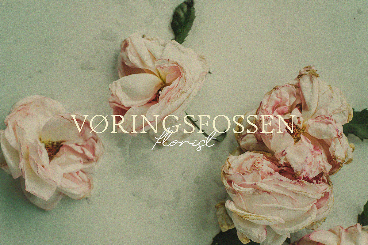 Myona Serif & Elfani Script + Extra, a Serif Font by Unfutur Labs (Photo 14 of 18)