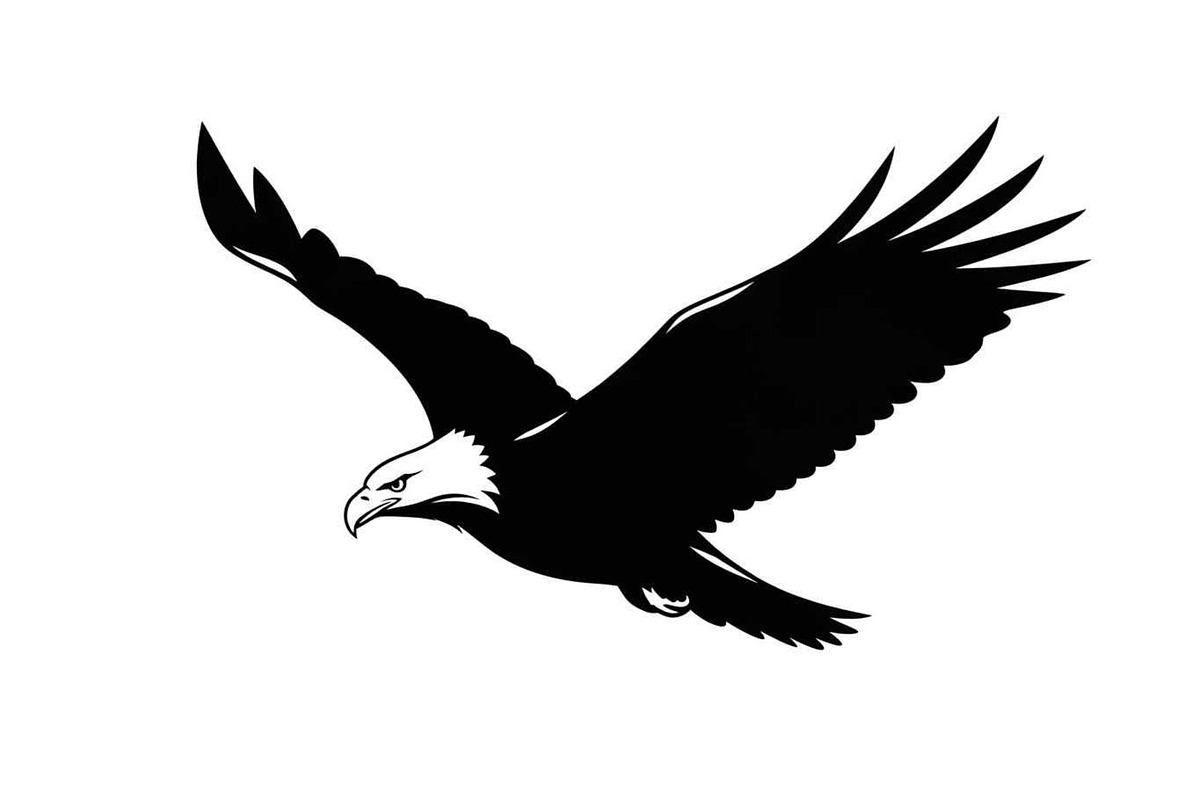 50 Flying Eagle Silhouette Vector Bu, an Illustration by Designs_River (Photo 20 of 51)