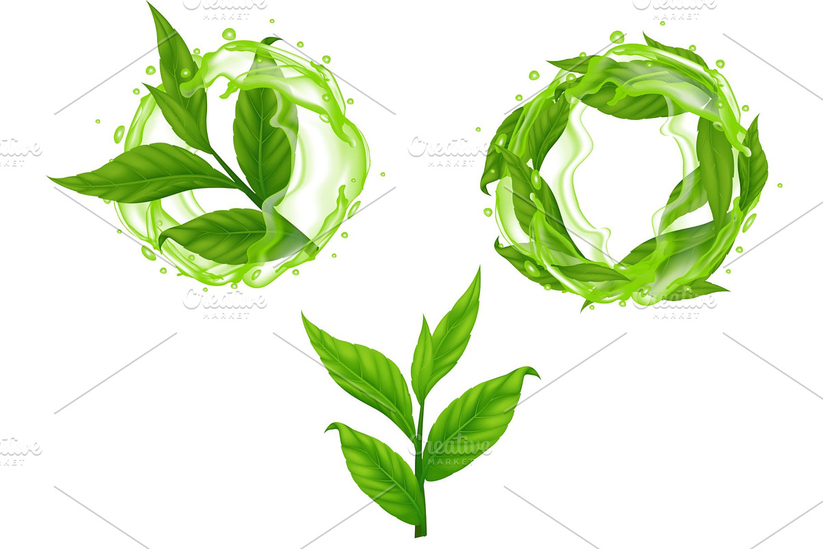 Green Tea Leaf With Water Splashes, a Food Illustration by Stellalunarts (Photo 1 of 4)