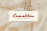 Ophelia Elow Bold Script, a Script Font by etigletters (Thumbnail 8 of 10)