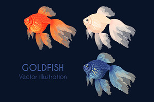 Patterns With Goldfish