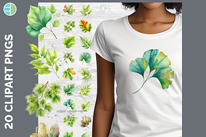 Leaf Illustration Bundle, 20 PNG