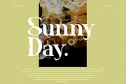 Benogi - Retro Serif Font, a Serif Font by Flawless And Co (Thumbnail 3 of 12)
