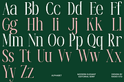 La Carena Modern Elegant Serif Font, a Serif Font by Rasio Studio (Thumbnail 2 of 9)