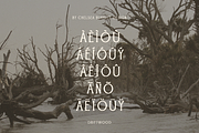 Driftwood, a Serif Font by Chelsea Burkett (Thumbnail 6 of 6)