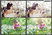 Spring Sunbeams Photo Overlays preview 2