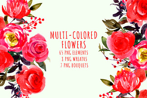MULTI-COLORED FLOWERS