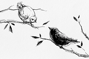 Sketch Brushes for Affinity, a Brush Add-On by pixelbuddha.net (Thumbnail 4 of 5)