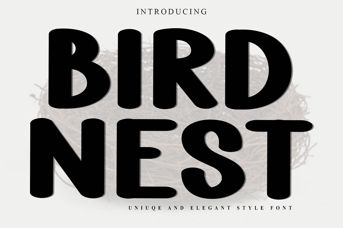 Bird Nest, a Script Font by FreshTypeINK (Photo 1 of 8)