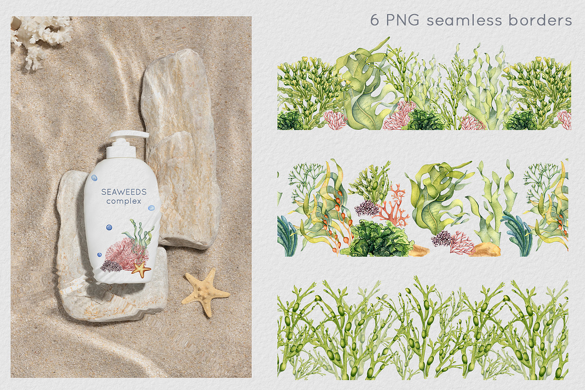 Sea plants watercolor collection, an Illustration by Kate Lanbina (Photo 11 of 18)