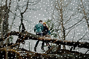 Brushes for Photoshop snow flakes, a Brush Add-On by ColorPhoto (Thumbnail 3 of 5)