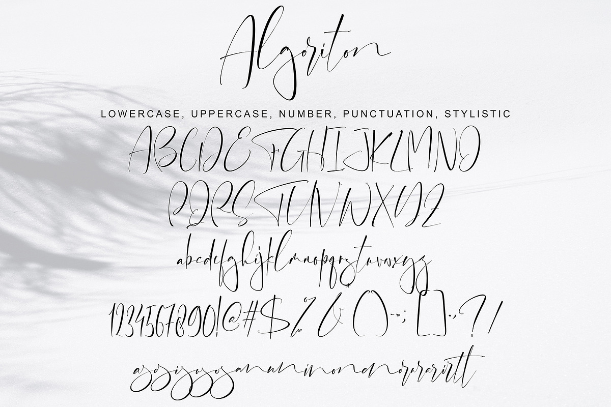 Algoriton, a Script Font by pineungtype (Photo 8 of 10)