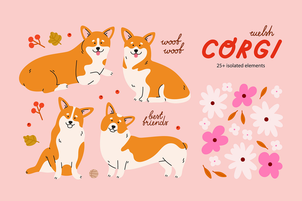 Corgi dogs and flowers., an Animal Illustration by Sweet Corner (Photo 4 of 7)